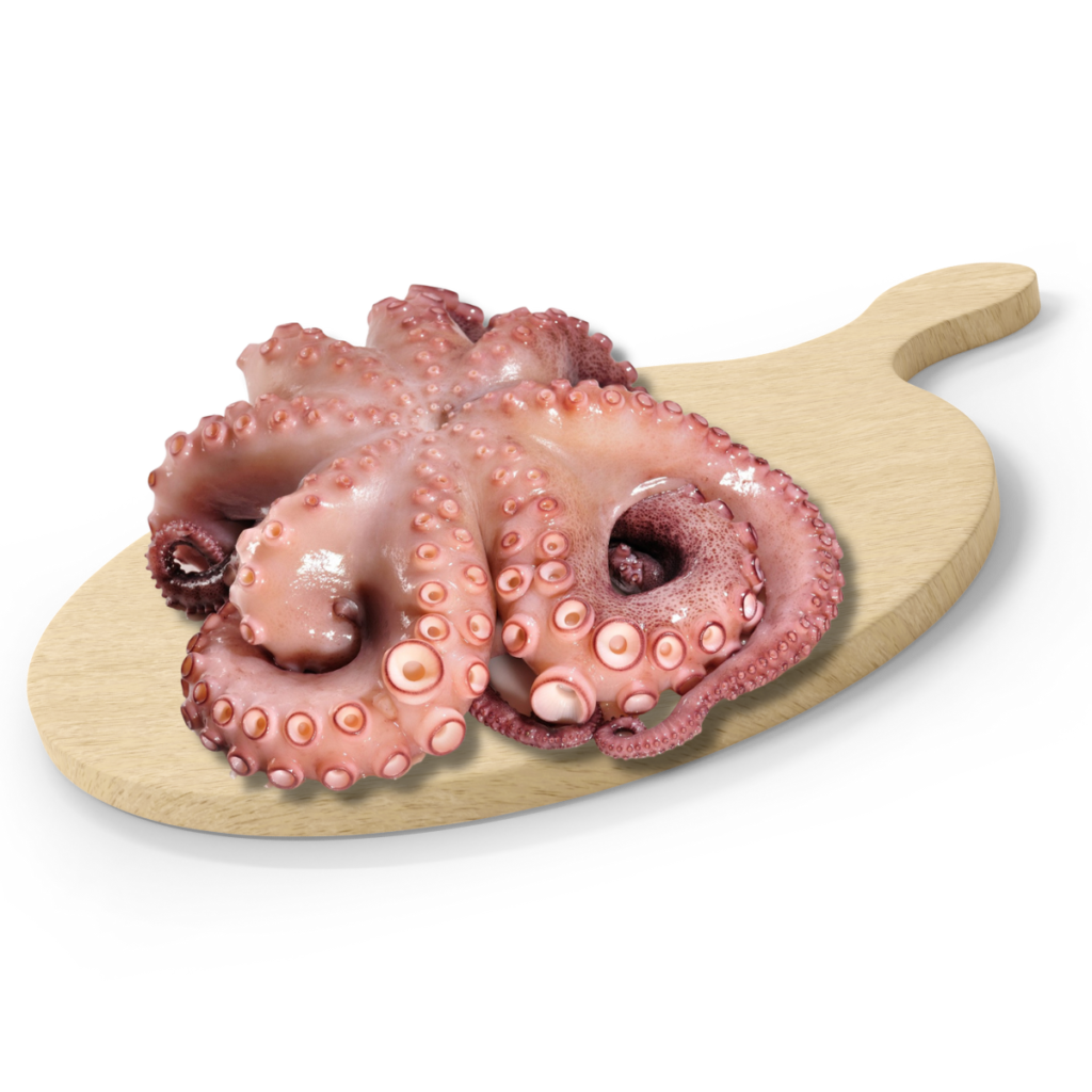 Squid Tentacles Ourite Gros Patte NID